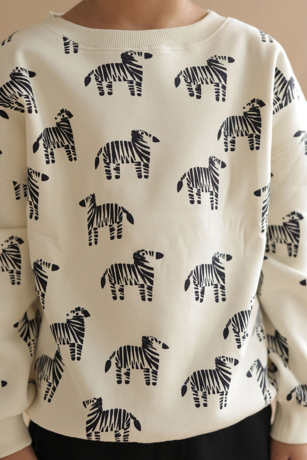 Off-white sweatshirt with navy zebra pattern across the chest